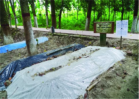 Image of মো: বাবলু ফরাজী
